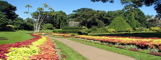 Botanical Garden, Ooty